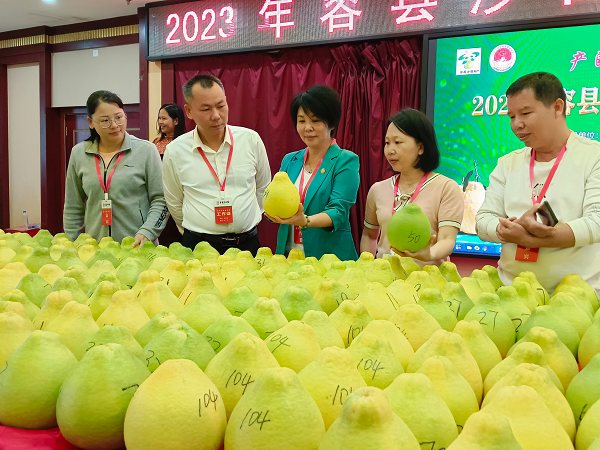 园艺所科技人员应邀参加2023年容县沙田柚质量评比活动
