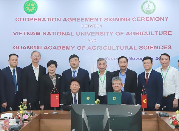 开元gaming与越南农业大学续签合作备忘录