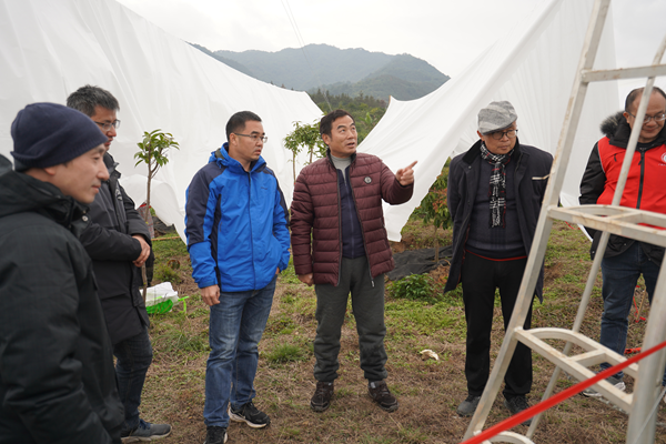 园艺研究所科技人员赴桂林开展荔枝“抗低温、防冰冻、防灾减灾害”技术服务
