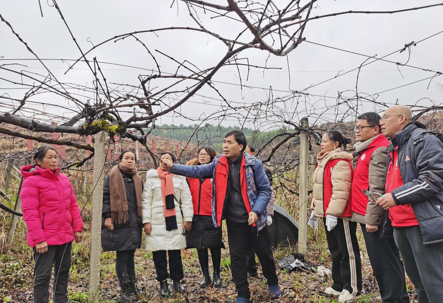 广西罗城毛葡萄试验站成员赴罗城、柳州开展防寒指导